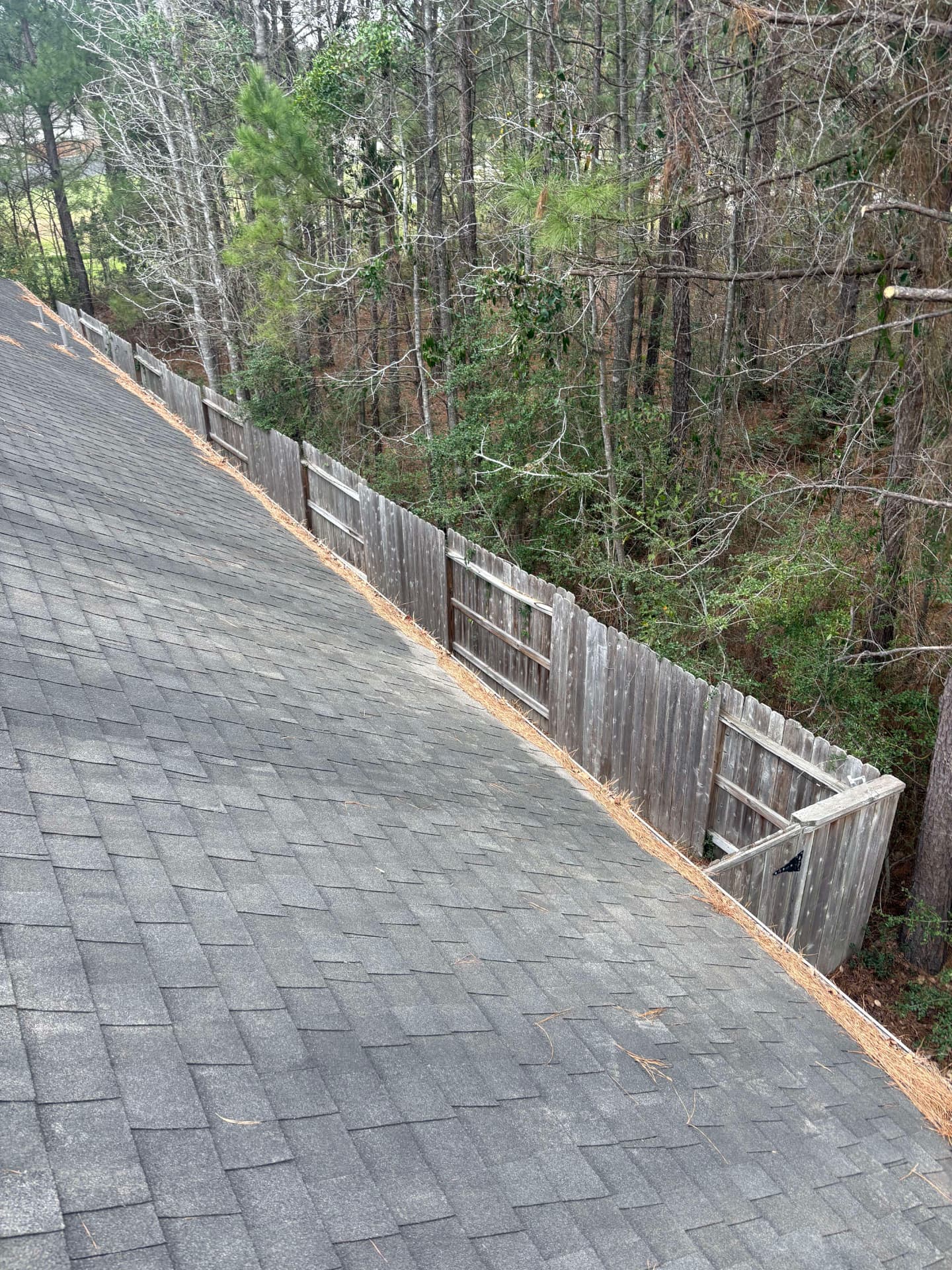 Shingle roof with pine straw lined along the gutter — Integrative Services, Montgomery TX