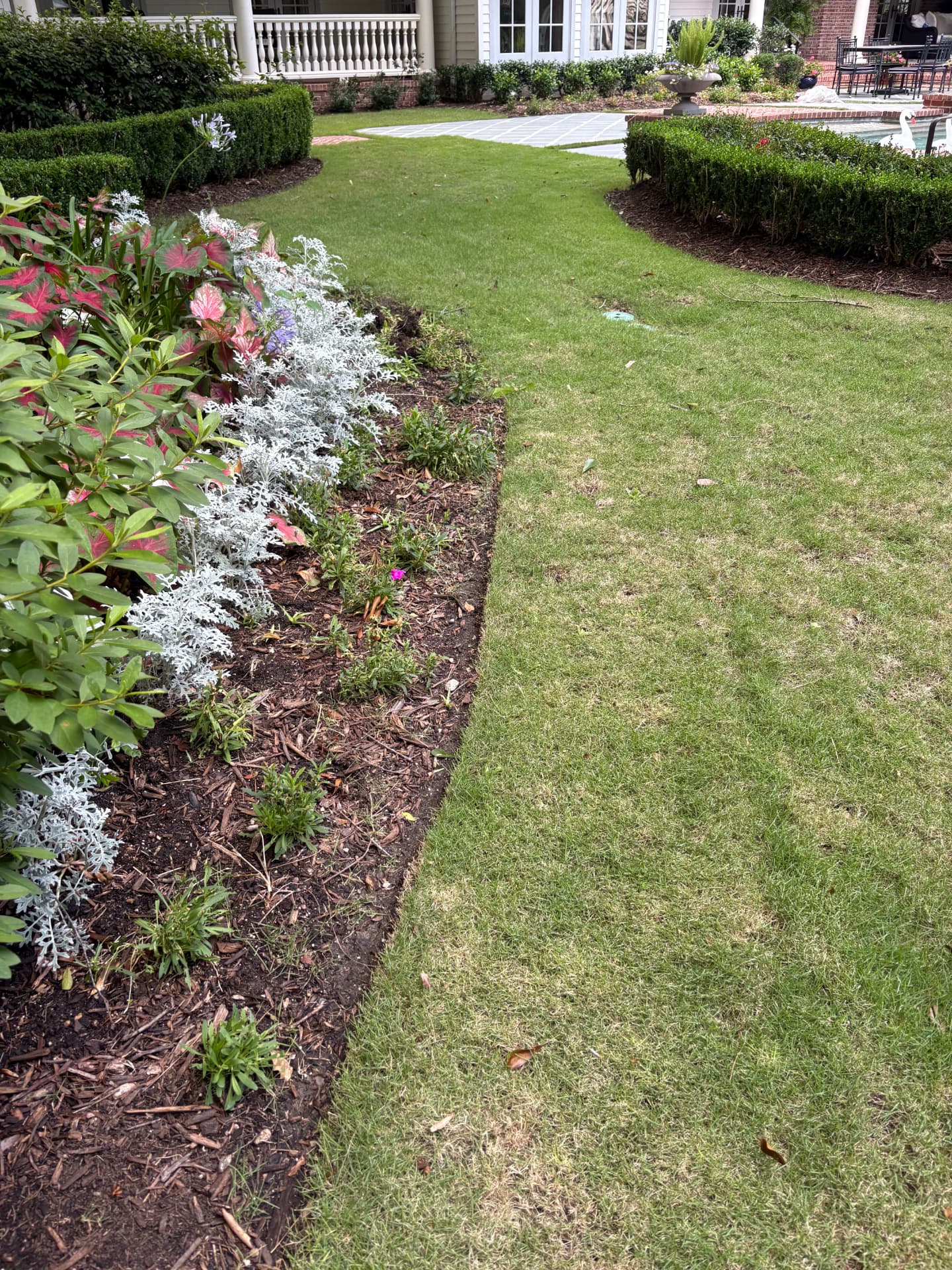 Garden bed edge before edging, with caladiums and dusty miller — Integrative Services, Montgomery TX