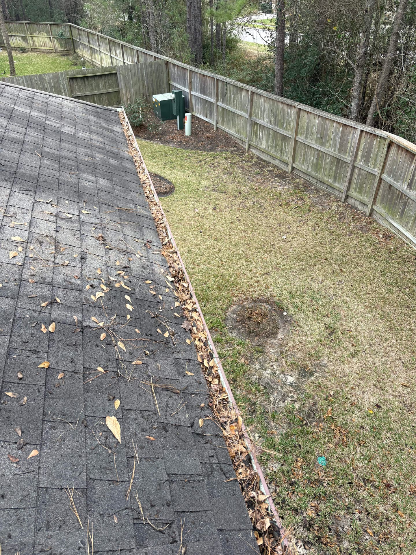 Roof edge with debris built up in the gutter line — Integrative Services, Montgomery TX